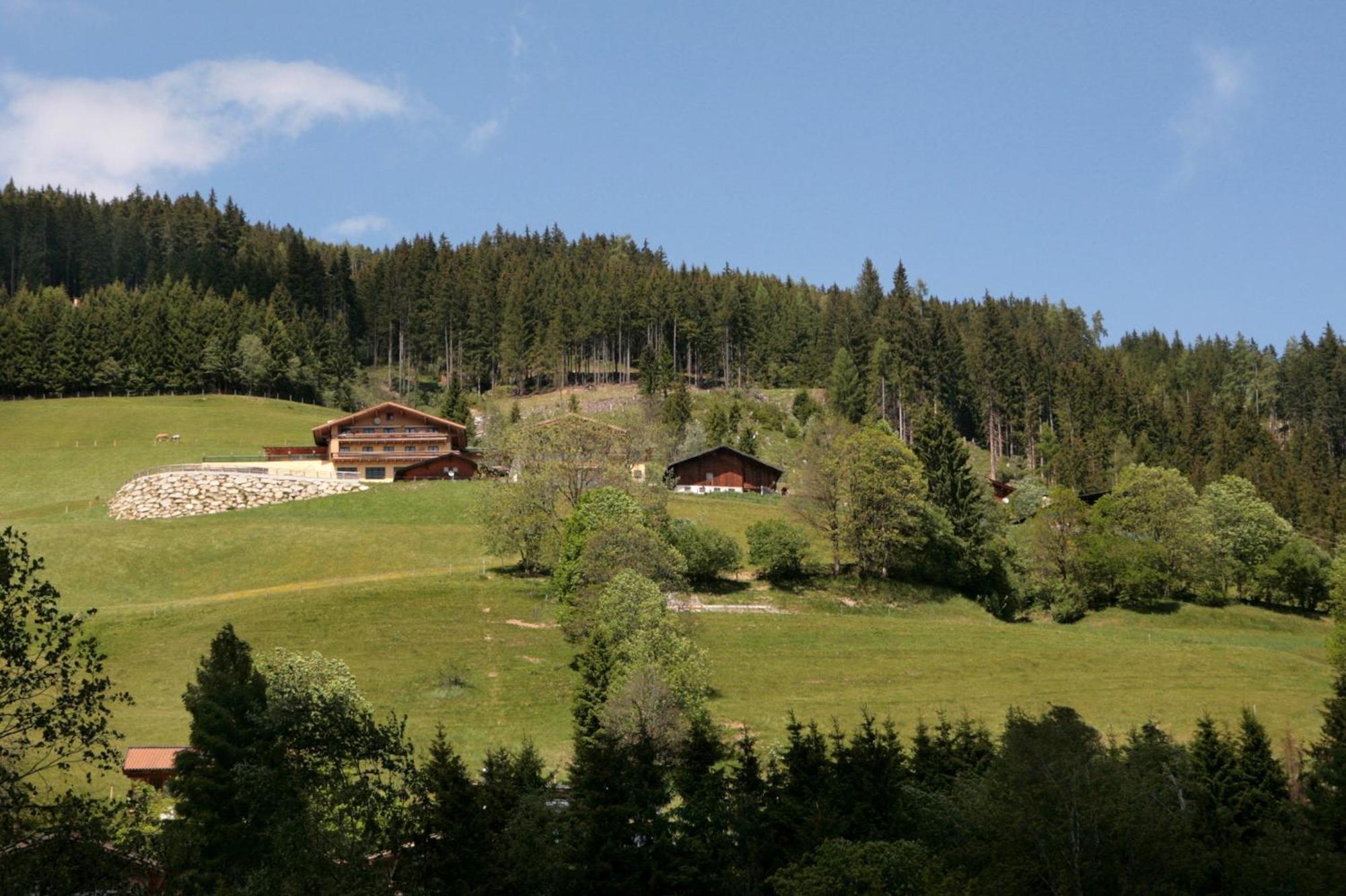 Der Wildbachhof - Contactless Check In Appartement Zell am See Buitenkant foto